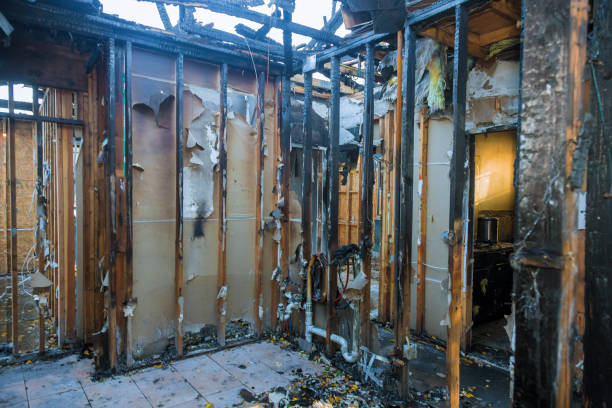 Professional Fire Damage Removal technician working in Richlandtown, PA